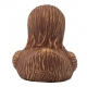 Whooping / Chewbacca Duck - Star Wars  Home